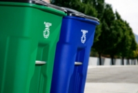 Image: tall green and blue waste bins set at curbside for collection. 